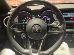 Annonce 418686611/AlfaRomeoStelvio_FG picto5