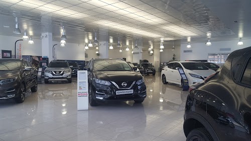 Nissan Michez