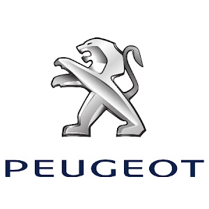 SARL GGE MEUNIER - PEUGEOT photo6