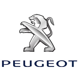 Peugeot DANGLES AUTOMOBILES 31